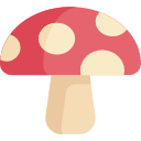 Mushroom wrapping